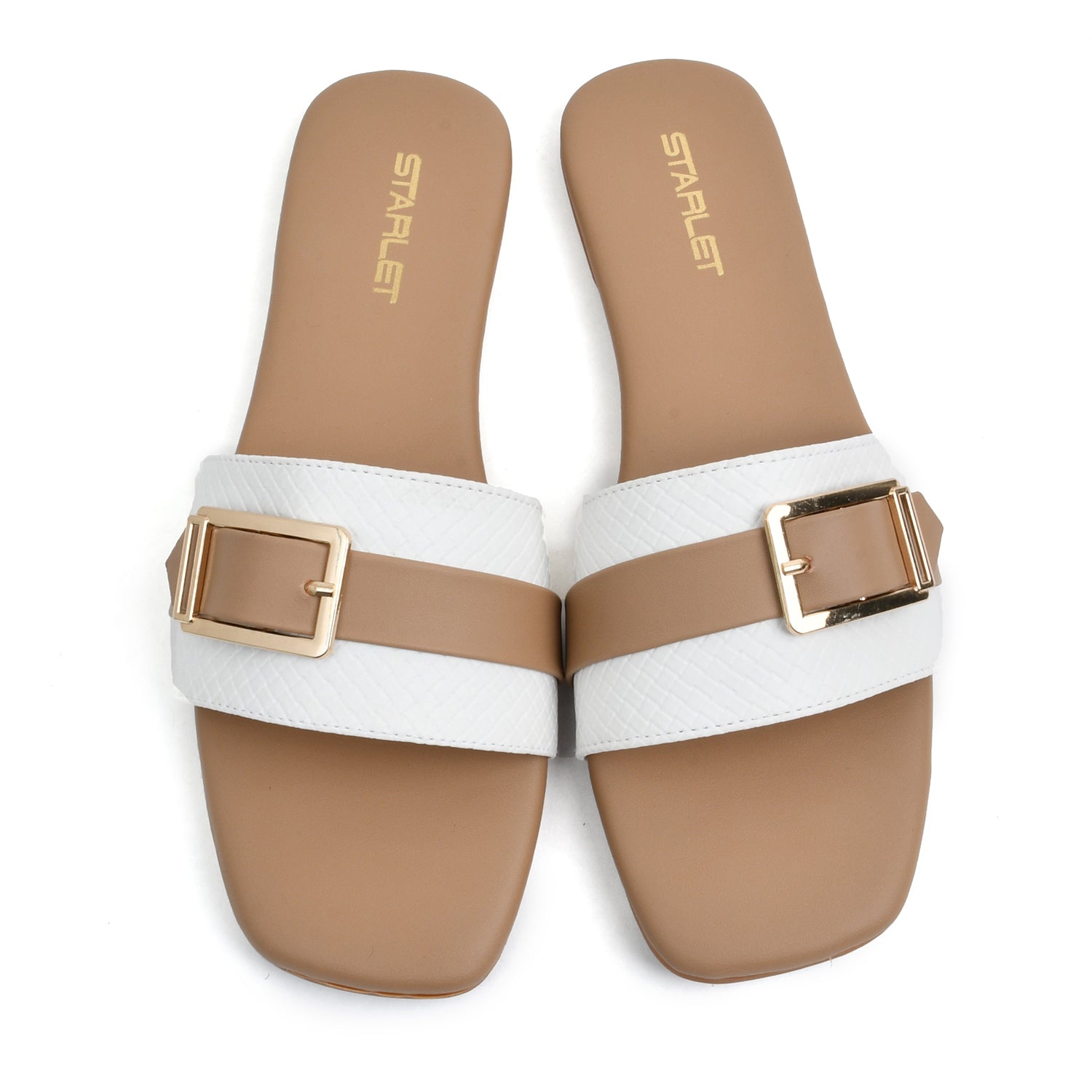 MCl-0002 CHICO